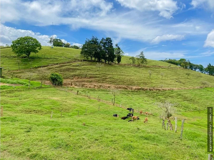 Finca lechera en producción Moravia, photo 9