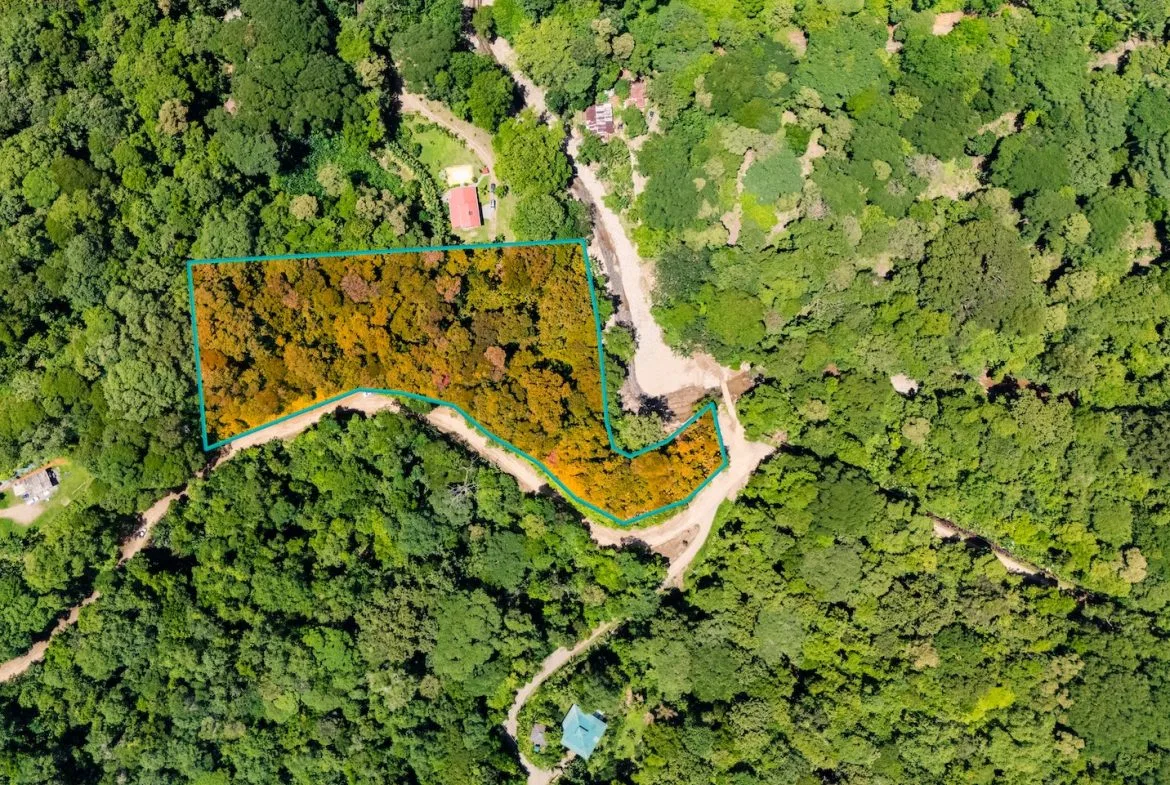 JUNGLE BUILDING PROPERTY NEAR TO THE VENTANAS BEACH, IN VENTANAS OJOCHAL – 3.26 ACRES, photo 2