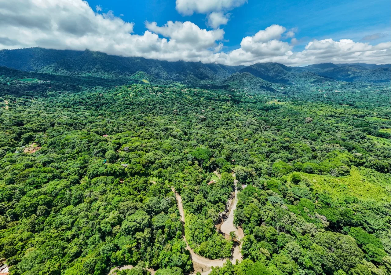 JUNGLE BUILDING PROPERTY NEAR TO THE VENTANAS BEACH, IN VENTANAS OJOCHAL – 3.26 ACRES, photo 15
