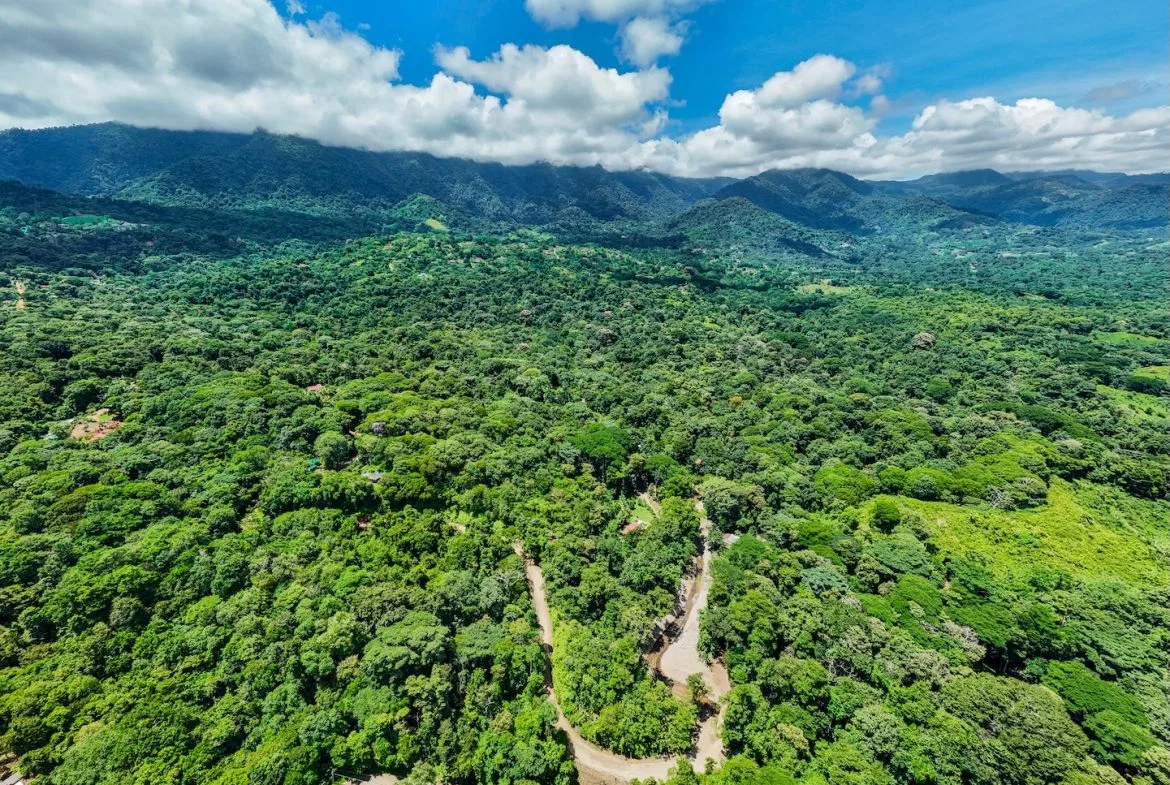 JUNGLE BUILDING PROPERTY NEAR TO THE VENTANAS BEACH, IN VENTANAS OJOCHAL – 3.26 ACRES, photo 16