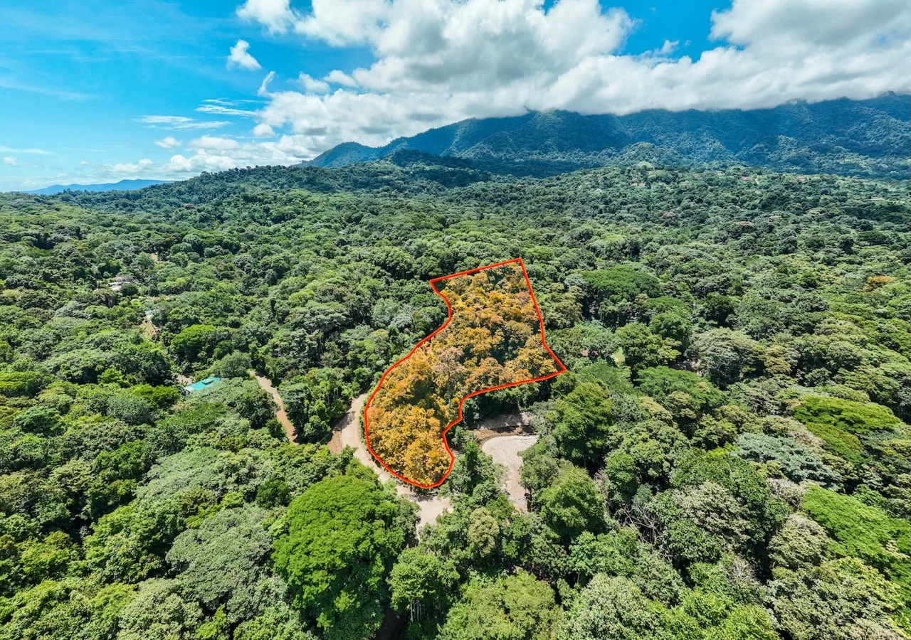 JUNGLE BUILDING PROPERTY NEAR TO THE VENTANAS BEACH, IN VENTANAS OJOCHAL – 3.26 ACRES, photo 3