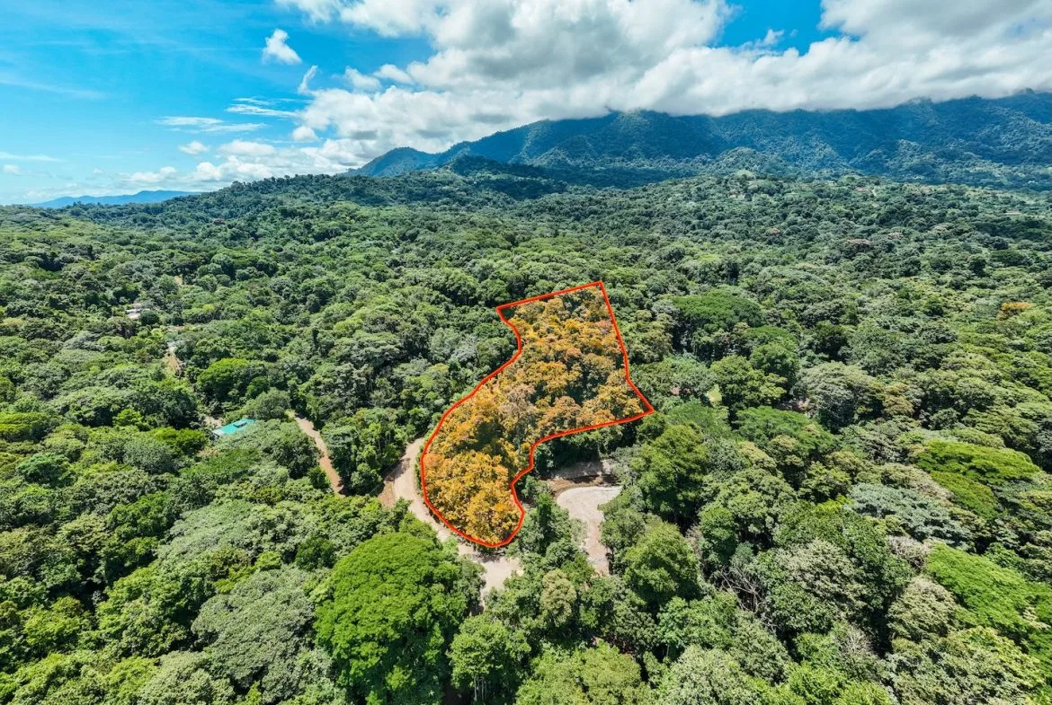 JUNGLE BUILDING PROPERTY NEAR TO THE VENTANAS BEACH, IN VENTANAS OJOCHAL – 3.26 ACRES, photo 4