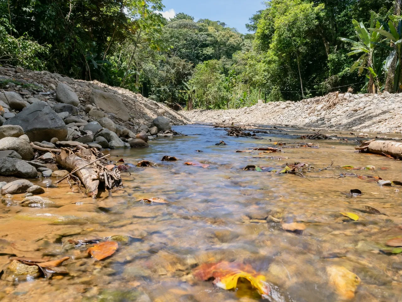 JUNGLE BUILDING PROPERTY NEAR TO THE VENTANAS BEACH, IN VENTANAS OJOCHAL – 3.26 ACRES, photo 9