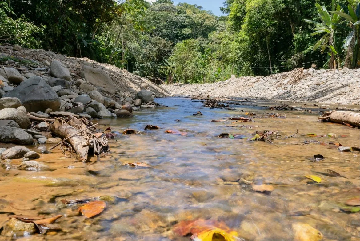 JUNGLE BUILDING PROPERTY NEAR TO THE VENTANAS BEACH, IN VENTANAS OJOCHAL – 3.26 ACRES, photo 10