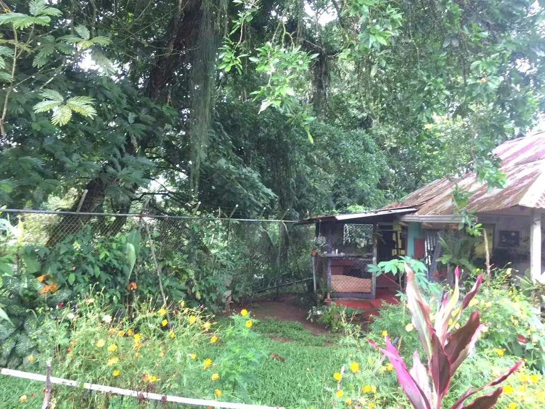 We offer you the opportunity to purchase one or both of the lots for sale, located in the Punta Riel neighborhood ..., photo 6