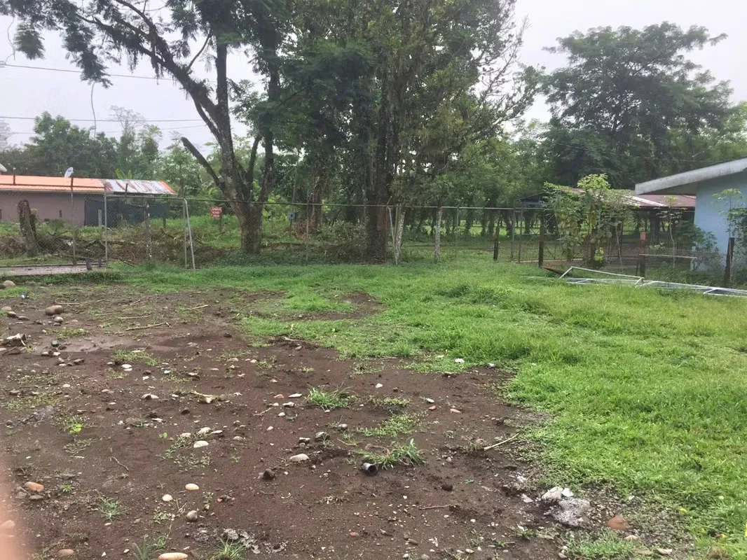 We offer you the opportunity to purchase one or both of the lots for sale, located in the Punta Riel neighborhood ..., photo 7