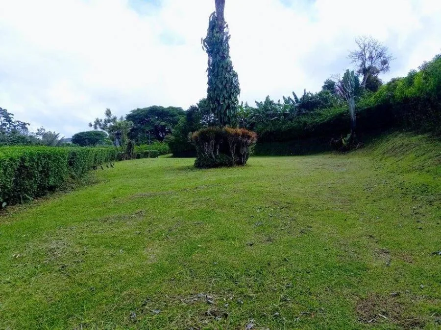 EDIFICIO EN VENTA EN CALLE BLANCOS, GOICOECHEA RAH 24221  - Venta en Goicoechea, photo 11