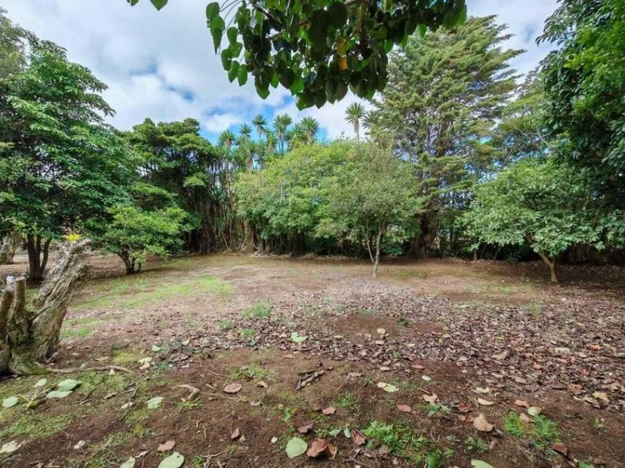 EDIFICIO EN VENTA EN CALLE BLANCOS, GOICOECHEA RAH 24221  - Venta en Goicoechea, photo 14