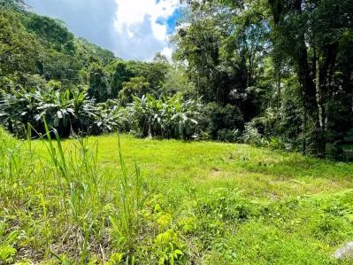 Build-Ready Lot in Serene Gated Community – Your Dream Costa Rica Land Awaits, photo 4