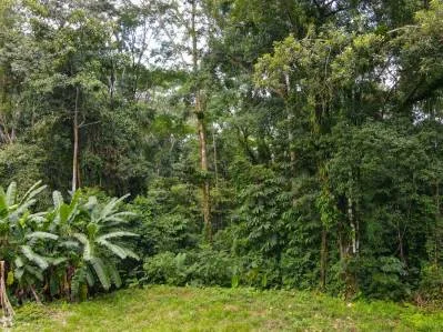 Build-Ready Lot in Serene Gated Community – Your Dream Costa Rica Land Awaits, photo 5