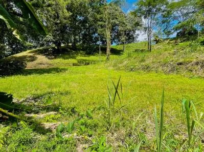 Build-Ready Lot in Serene Gated Community – Your Dream Costa Rica Land Awaits, photo 8