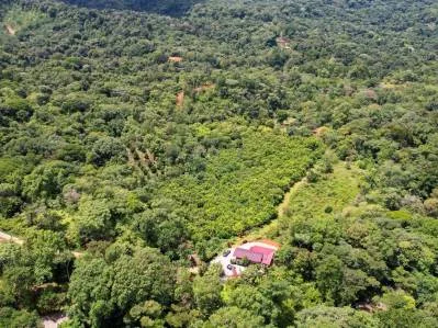 BUILDING PROPERTY WITH FRUIT TREES AND NEAR TO THE RIVER, IN OJOCHAL – 23 ACRES, photo 26