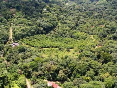 BUILDING PROPERTY WITH FRUIT TREES AND NEAR TO THE RIVER, IN OJOCHAL – 23 ACRES, photo 27