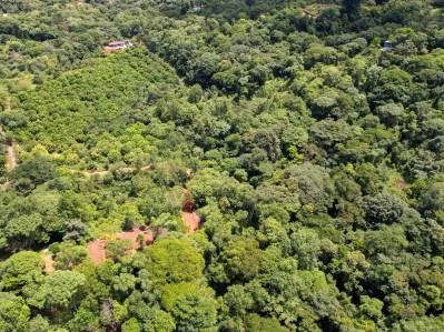 BUILDING PROPERTY WITH FRUIT TREES AND NEAR TO THE RIVER, IN OJOCHAL – 23 ACRES, photo 28