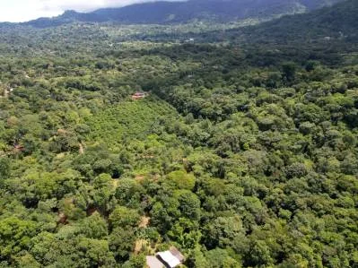 BUILDING PROPERTY WITH FRUIT TREES AND NEAR TO THE RIVER, IN OJOCHAL – 23 ACRES, photo 29