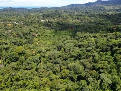 BUILDING PROPERTY WITH FRUIT TREES AND NEAR TO THE RIVER, IN OJOCHAL – 23 ACRES, photo 30