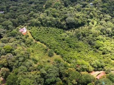BUILDING PROPERTY WITH FRUIT TREES AND NEAR TO THE RIVER, IN OJOCHAL – 23 ACRES, photo 31