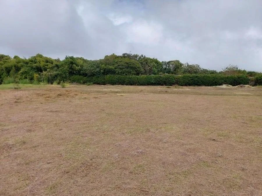 Venta de Lote en San Antonio, Vazquez de Coronado, San José. - Venta en Vasquez de Coronado, photo 3