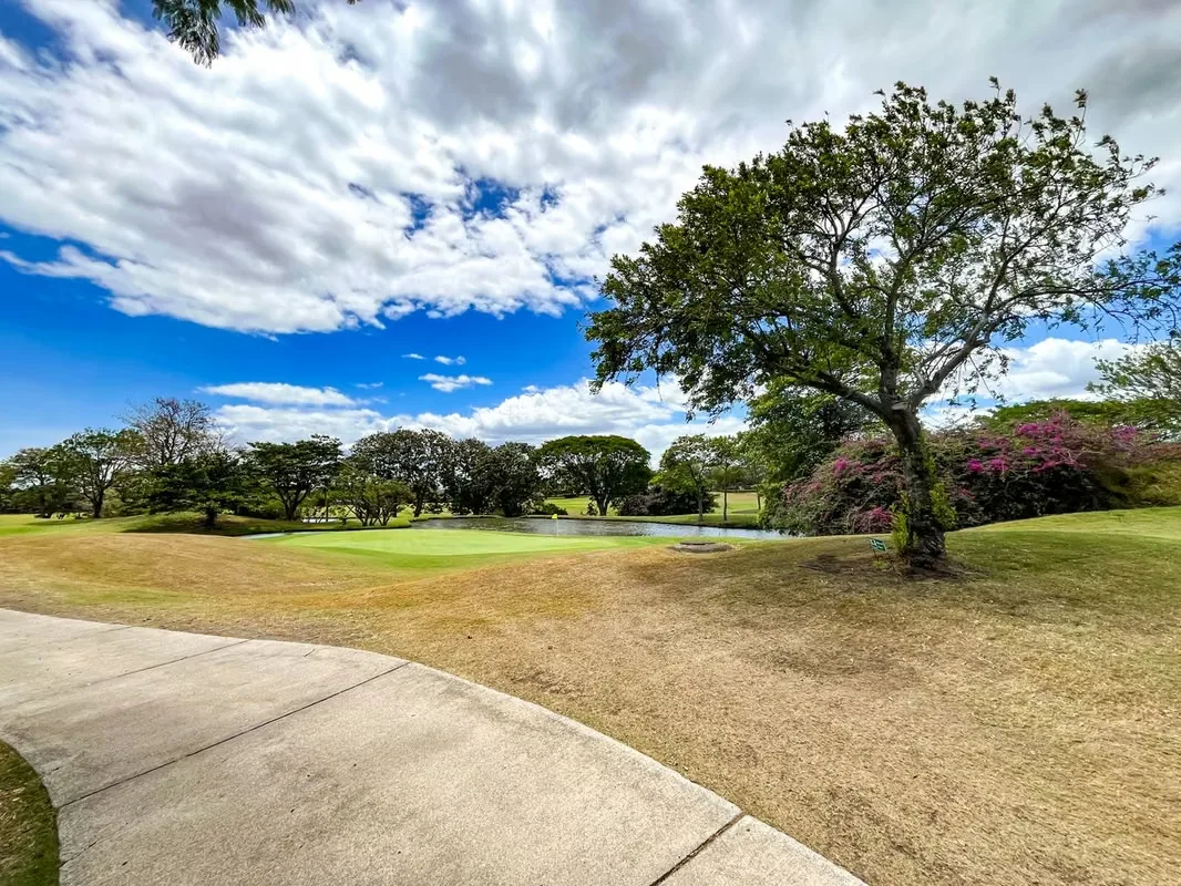 HOUSE FOR SALE IN VALLE DEL SOL WITH A VIEW OF THE GOLF COURSE, photo 2
