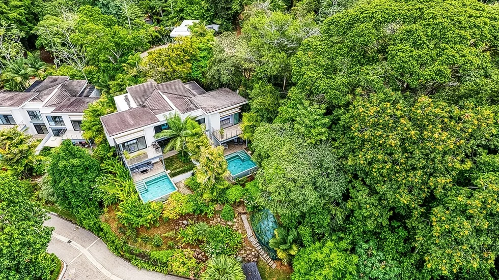 OCEAN VIEW VILLA IN TERRACES AT SAN MARTIN, photo 8