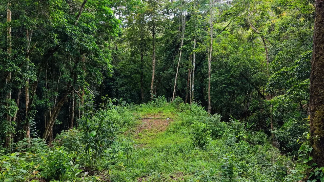 Land 7.000m for Sale in Miravalles de Rivas, Pérez Zeledón – Nature, Perfect Climate &amp; High Investment Potential, photo 9