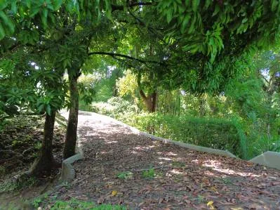 Lote con vVistas a la isla Caño y al océano, planos de construcción aprobados, photo 6