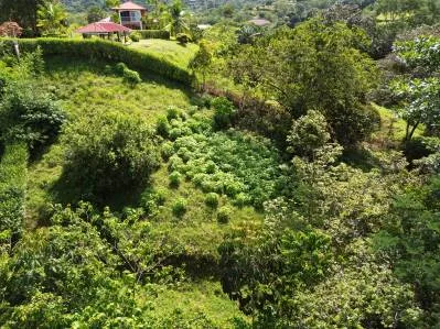 Lote con vVistas a la isla Caño y al océano, planos de construcción aprobados, photo 10