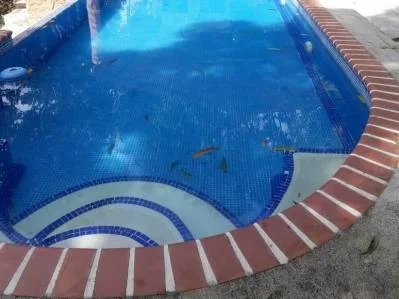 Venta de Quinta San Juan de Mata de Turrubáres., photo 8