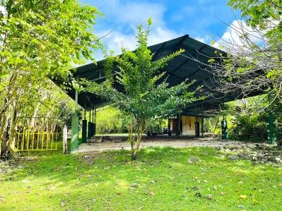 BEST DEVELOPMENT LAND DEAL IN UVITA, photo 8