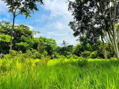 BEST DEVELOPMENT LAND DEAL IN UVITA, photo 9