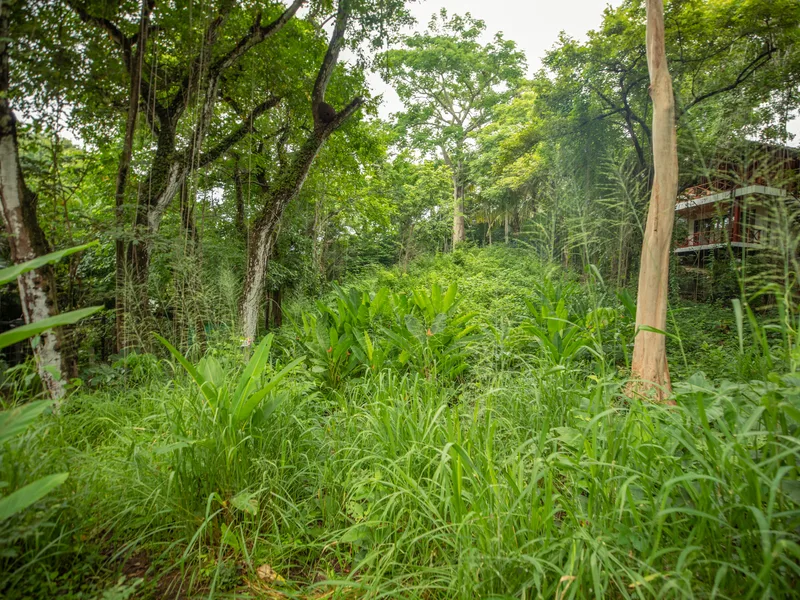 Land For Sale in Nosara