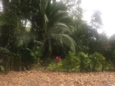 Lotes Titulados en Puerto Vargas — Servicios Listos: Agua Pública y Electricidad Subterránea, photo 4