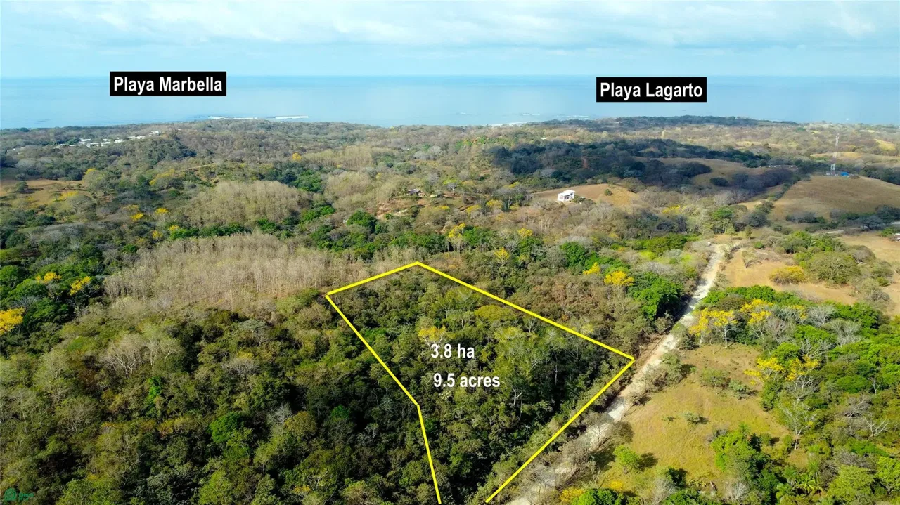 Playa Marbella, Santa Cruz, Guanacaste 50303