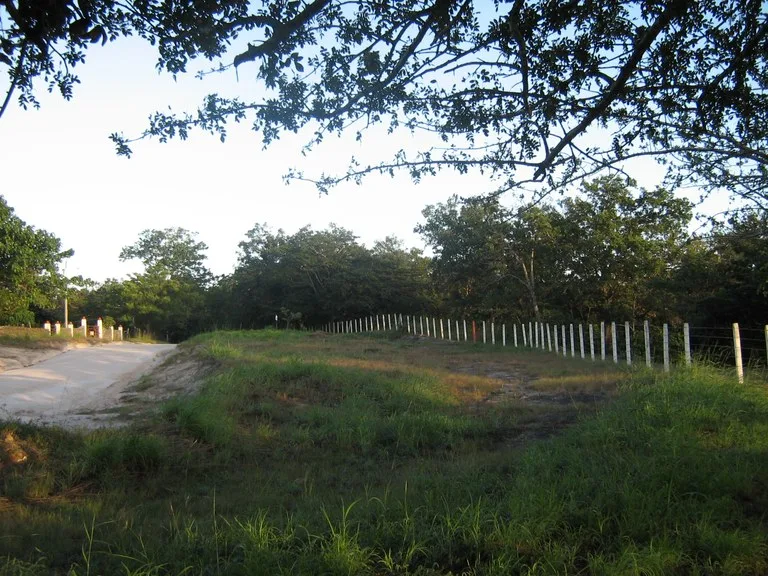 Excelente oportunidad: Excellent opportunity, lots Curubandé of Liberia, High Value, photo 3