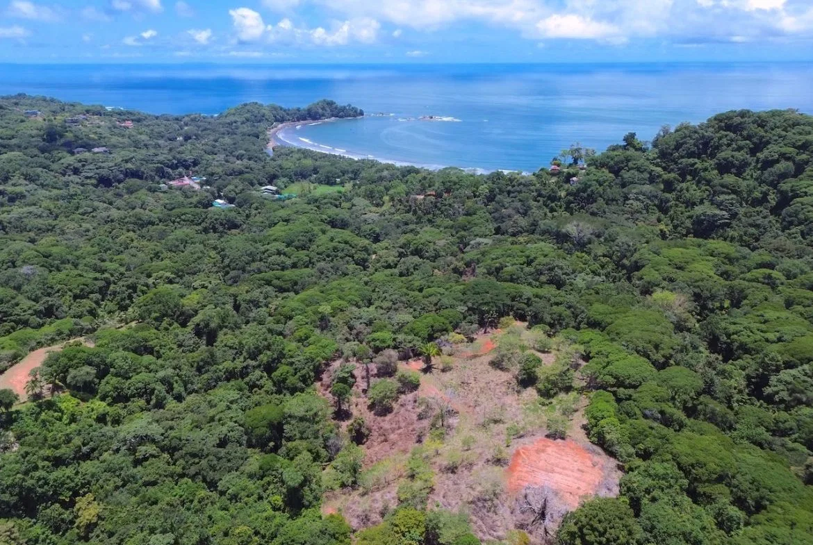 OCEAN AND JUNGLE VIEWS, RIVER AND WALKING DISTANCE TO THE BEACH  – 61.78 ACRES, photo 2