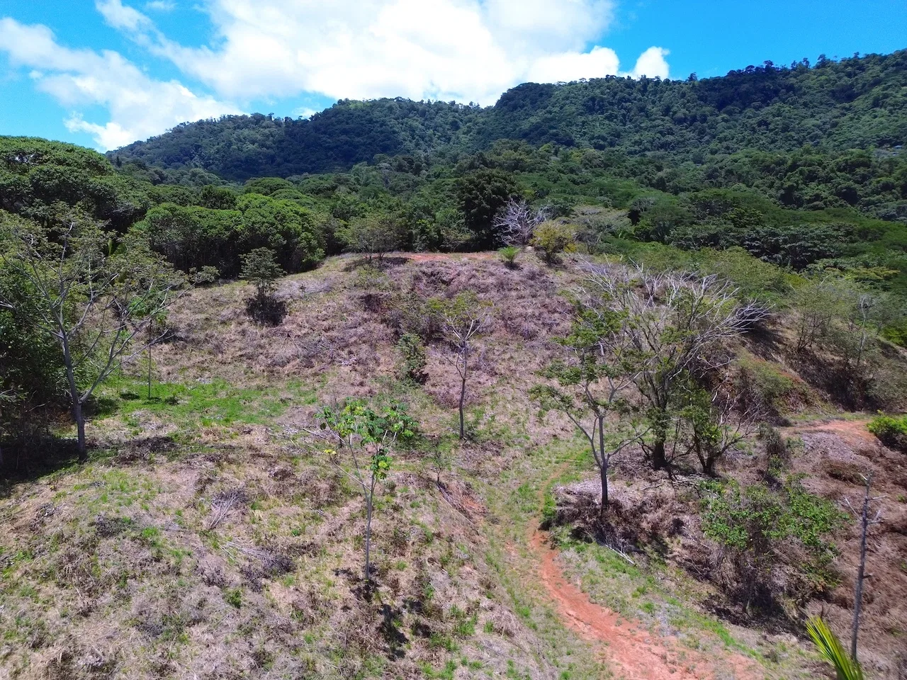 OCEAN AND JUNGLE VIEWS, RIVER AND WALKING DISTANCE TO THE BEACH  – 61.78 ACRES, photo 11