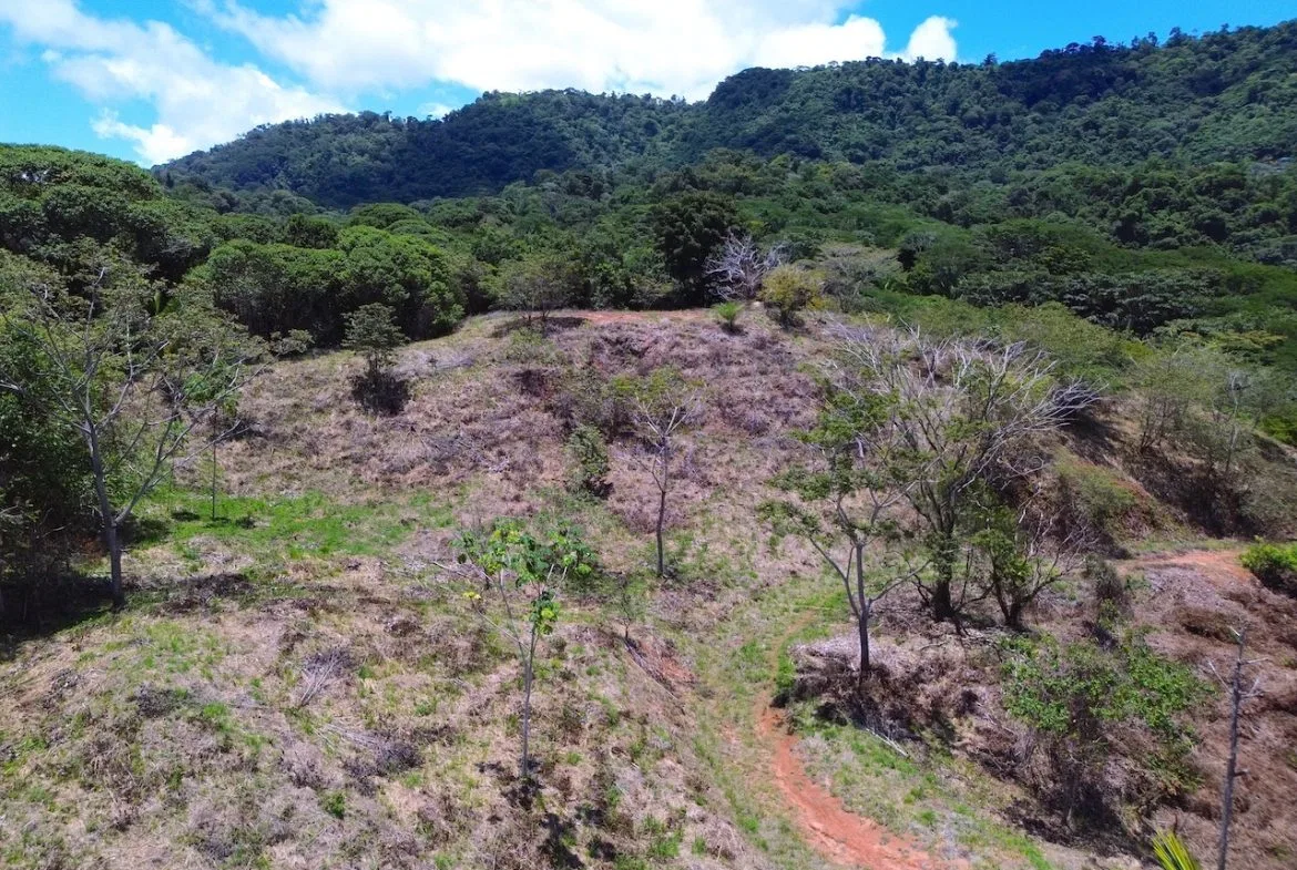 OCEAN AND JUNGLE VIEWS, RIVER AND WALKING DISTANCE TO THE BEACH  – 61.78 ACRES, photo 12