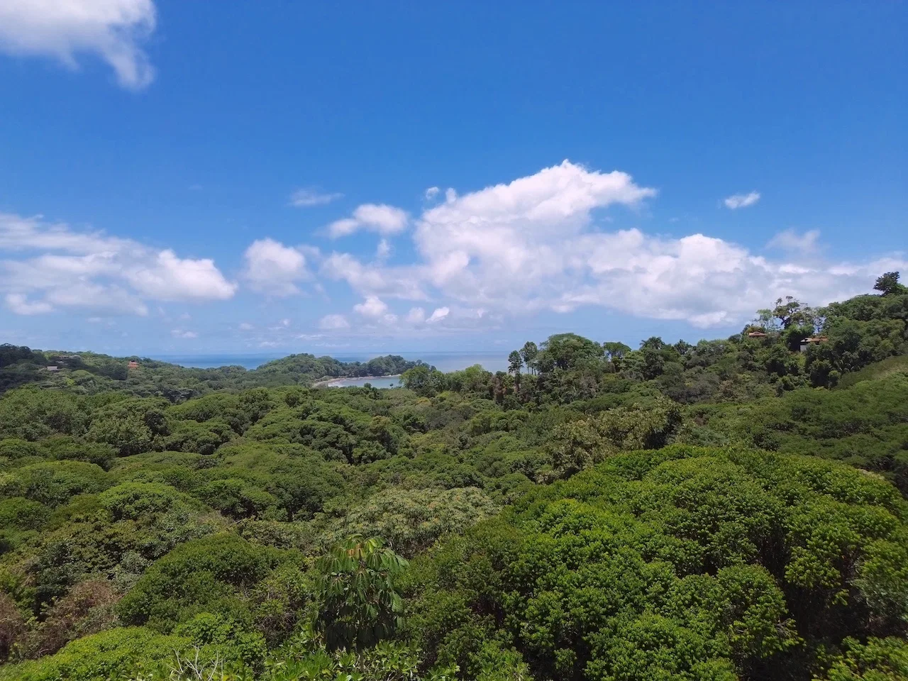 OCEAN AND JUNGLE VIEWS, RIVER AND WALKING DISTANCE TO THE BEACH  – 61.78 ACRES, photo 13