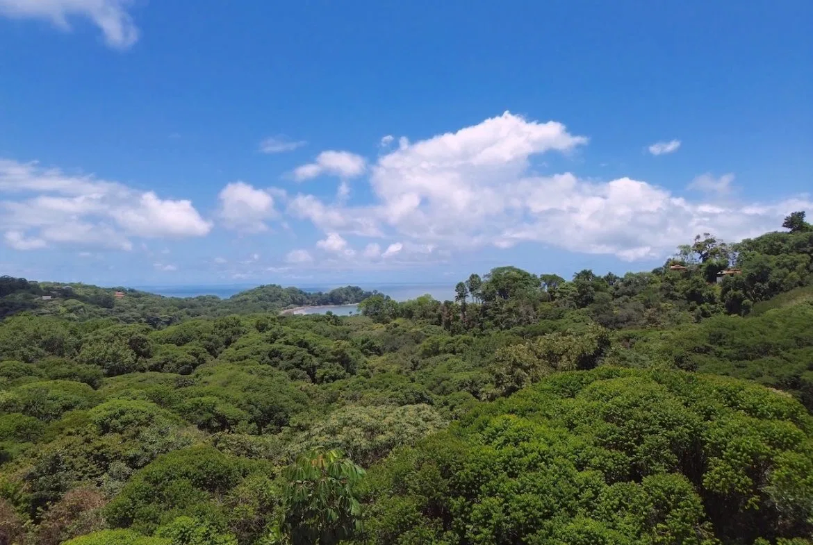 OCEAN AND JUNGLE VIEWS, RIVER AND WALKING DISTANCE TO THE BEACH  – 61.78 ACRES, photo 14