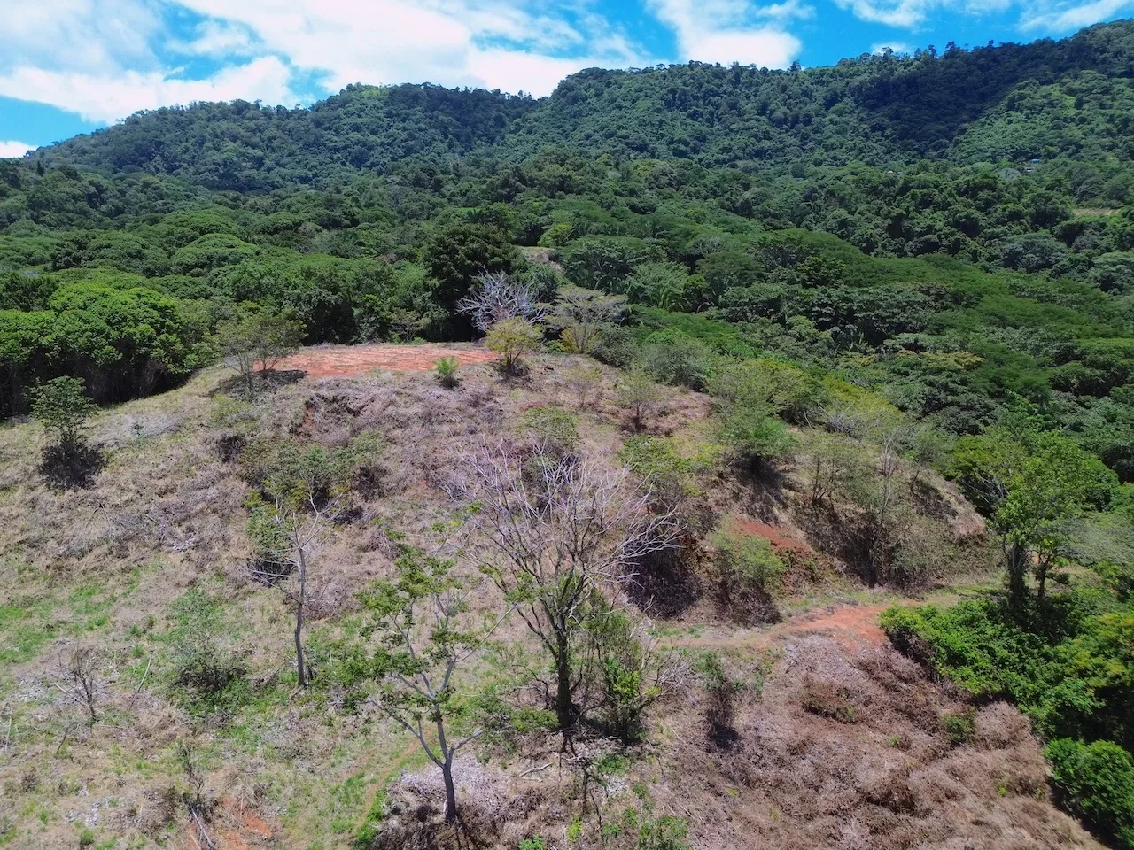 OCEAN AND JUNGLE VIEWS, RIVER AND WALKING DISTANCE TO THE BEACH  – 61.78 ACRES, photo 15