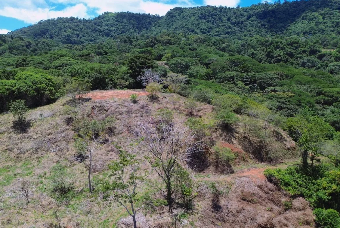 OCEAN AND JUNGLE VIEWS, RIVER AND WALKING DISTANCE TO THE BEACH  – 61.78 ACRES, photo 16