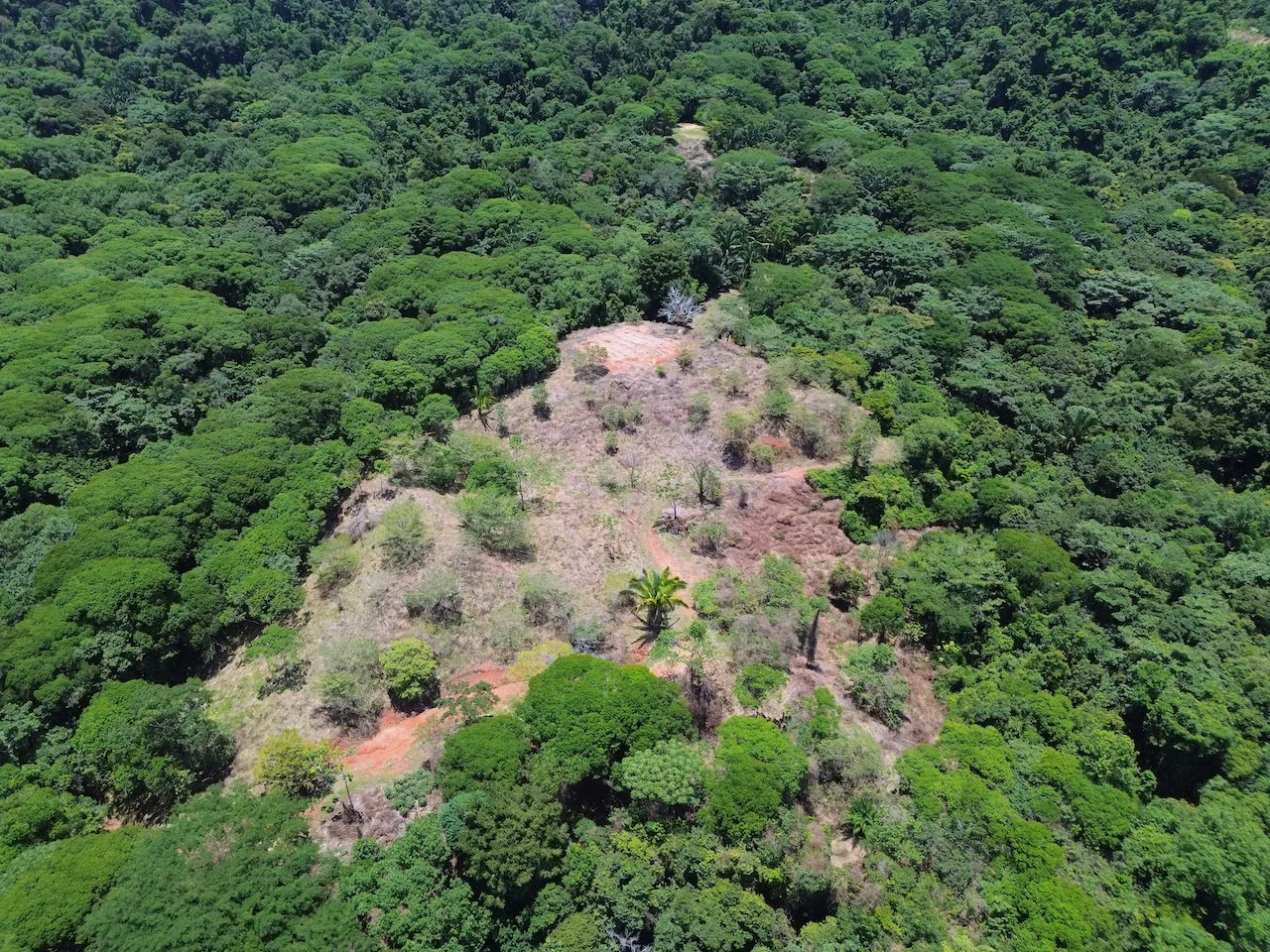 OCEAN AND JUNGLE VIEWS, RIVER AND WALKING DISTANCE TO THE BEACH  – 61.78 ACRES, photo 17