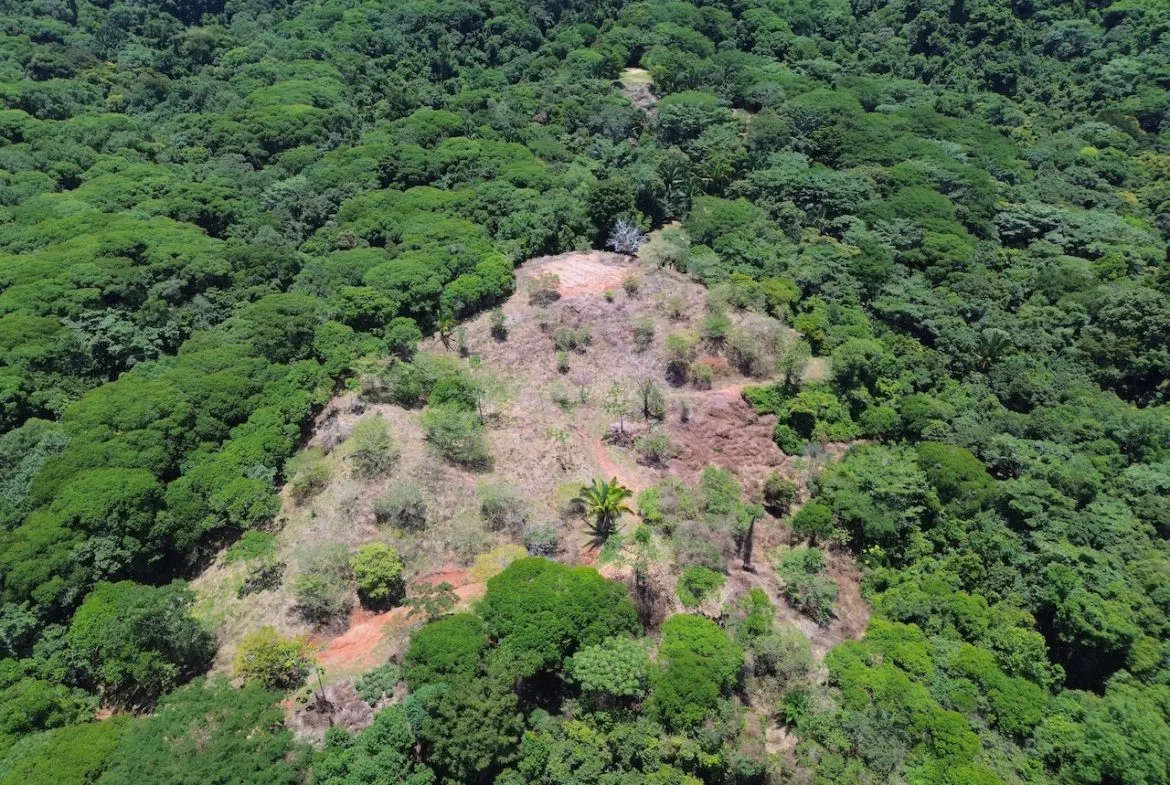 OCEAN AND JUNGLE VIEWS, RIVER AND WALKING DISTANCE TO THE BEACH  – 61.78 ACRES, photo 18