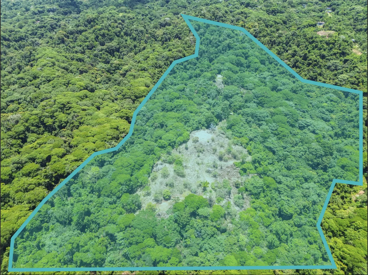 OCEAN AND JUNGLE VIEWS, RIVER AND WALKING DISTANCE TO THE BEACH  – 61.78 ACRES, photo 19