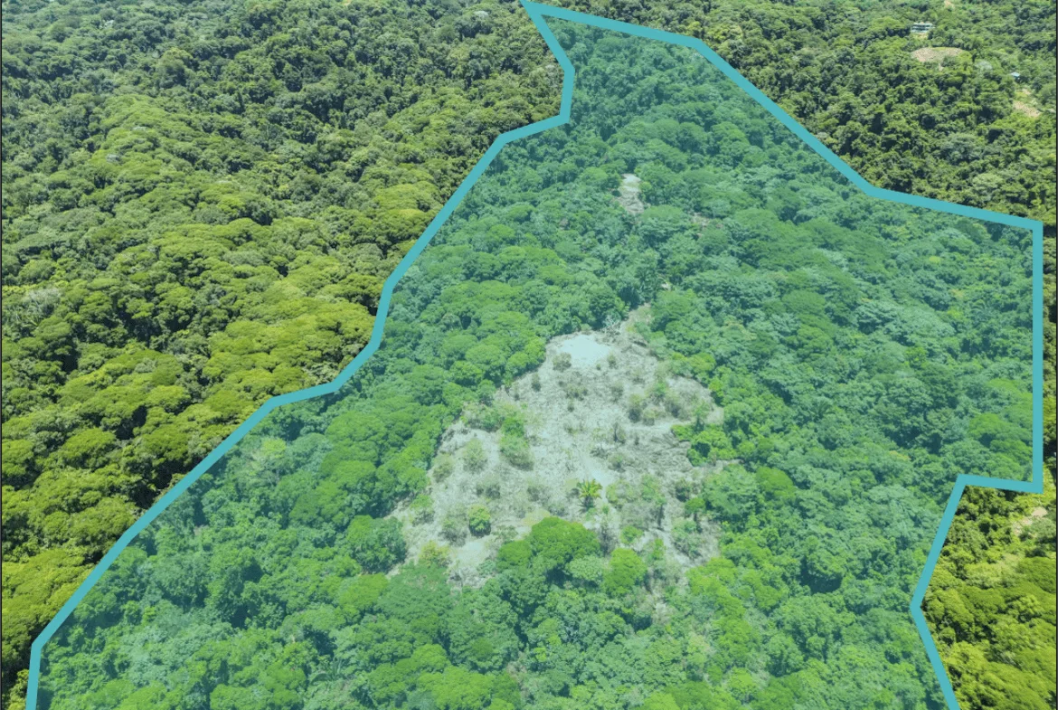 OCEAN AND JUNGLE VIEWS, RIVER AND WALKING DISTANCE TO THE BEACH  – 61.78 ACRES, photo 20