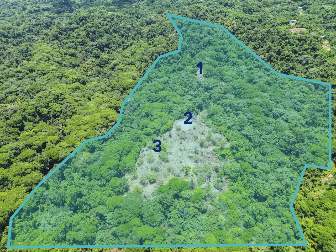 OCEAN AND JUNGLE VIEWS, RIVER AND WALKING DISTANCE TO THE BEACH  – 61.78 ACRES, photo 21