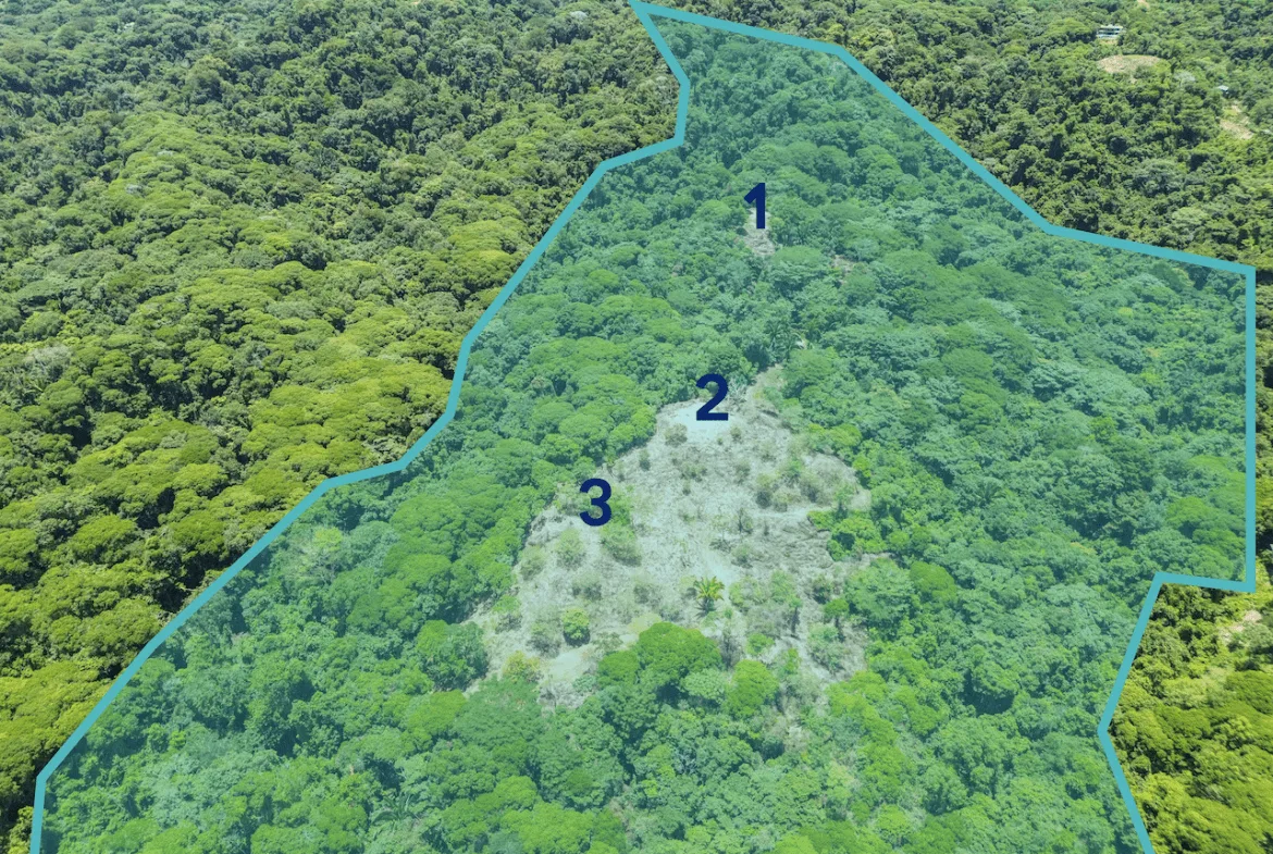 OCEAN AND JUNGLE VIEWS, RIVER AND WALKING DISTANCE TO THE BEACH  – 61.78 ACRES, photo 22
