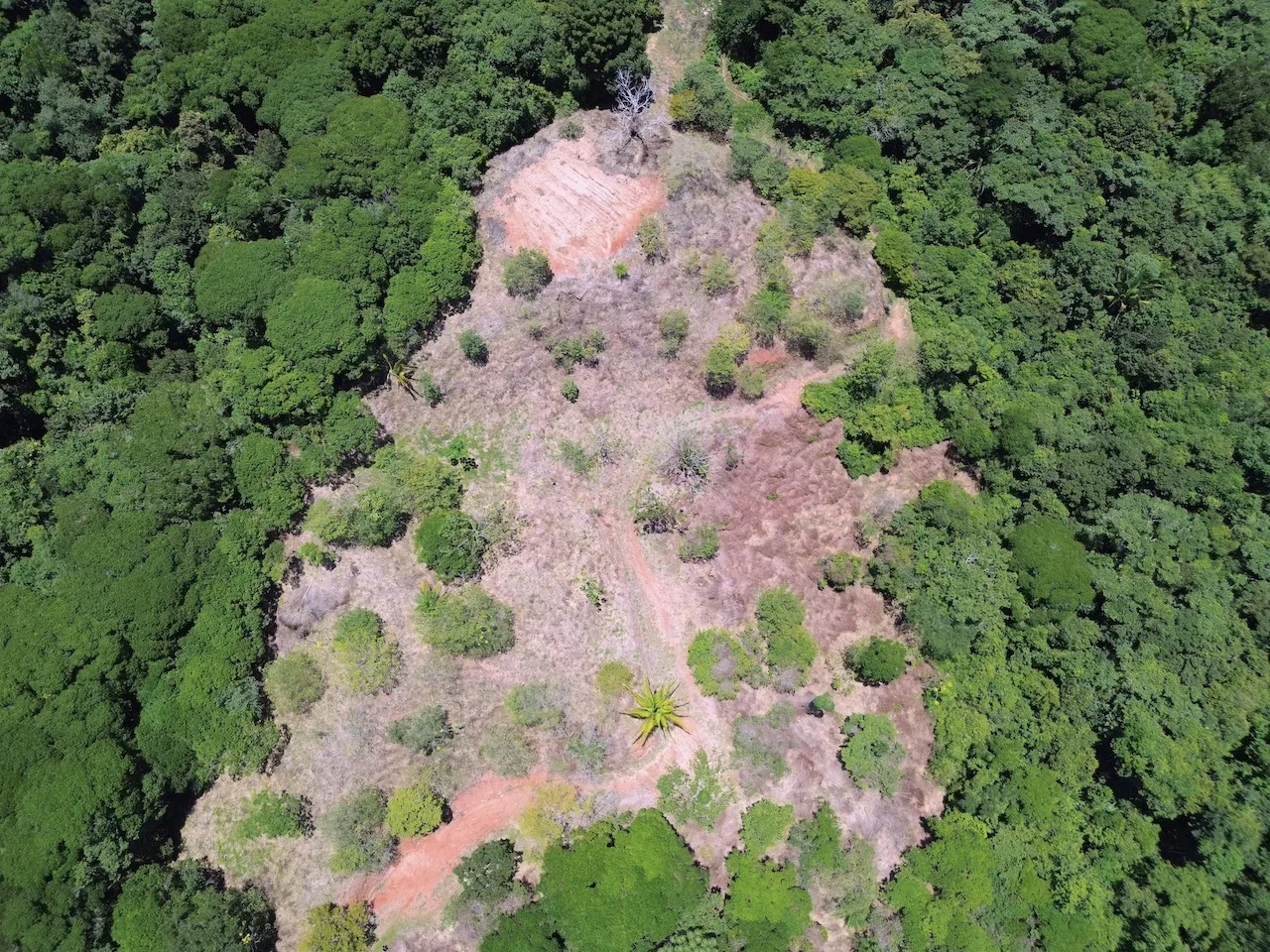 OCEAN AND JUNGLE VIEWS, RIVER AND WALKING DISTANCE TO THE BEACH  – 61.78 ACRES, photo 23