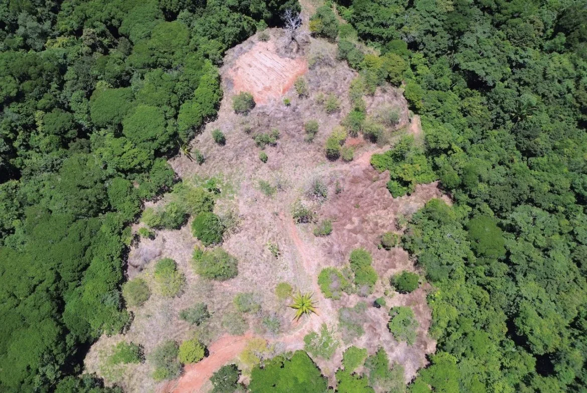 OCEAN AND JUNGLE VIEWS, RIVER AND WALKING DISTANCE TO THE BEACH  – 61.78 ACRES, photo 24