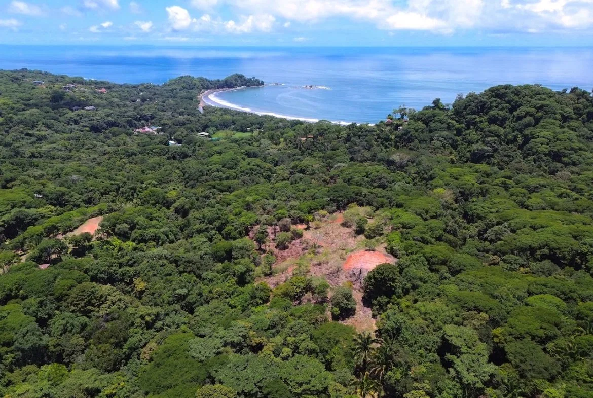 OCEAN AND JUNGLE VIEWS, RIVER AND WALKING DISTANCE TO THE BEACH  – 61.78 ACRES, photo 4